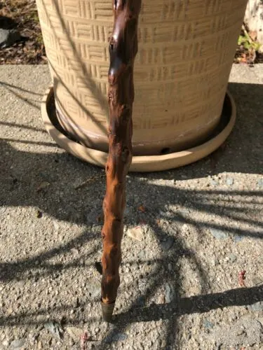 Antique Blackthorn Carved Wood Walking Stick Curved Cane Metal Tip Rare Vintage