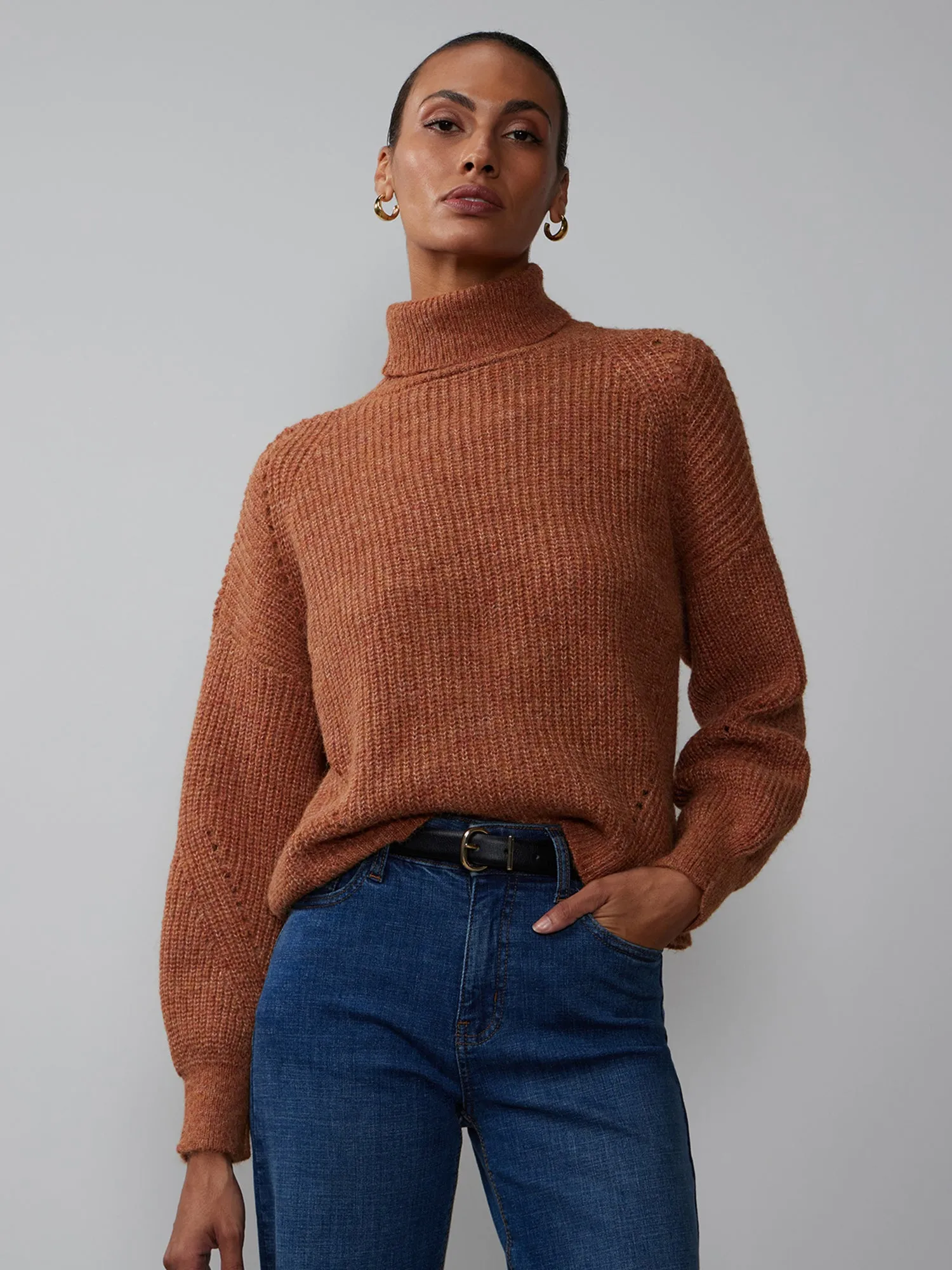 Balloon Sleeve Turtleneck Sweater