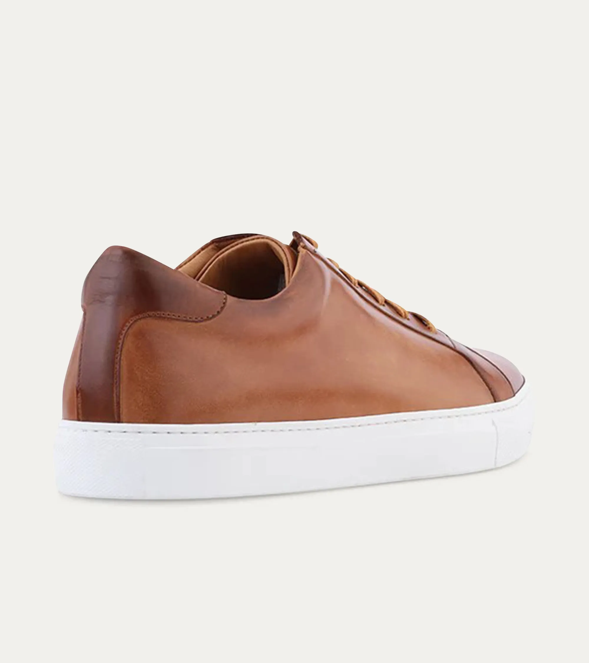 Duke Dress Sneaker Cuoio Nicol