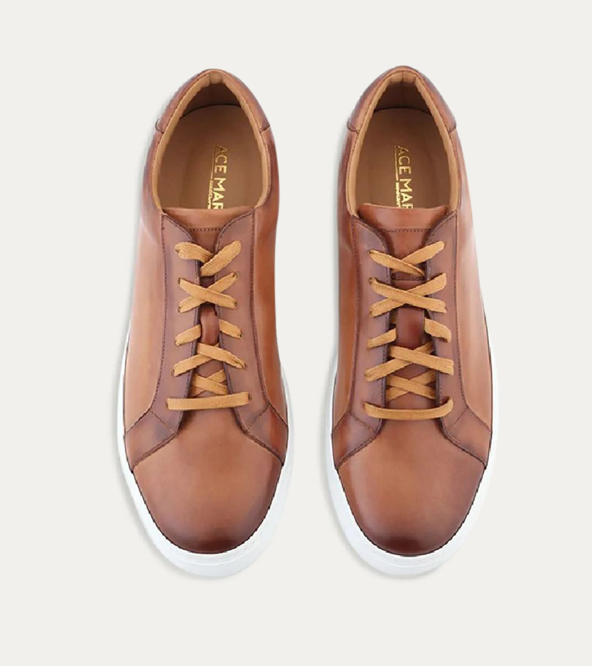 Duke Dress Sneaker Cuoio Nicol